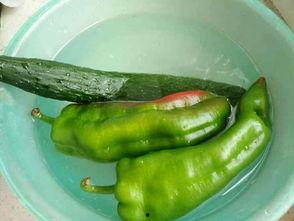 峰峰吃鸡的瓜,揭秘网红游戏的幕后故事