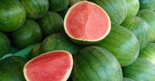 问答 吃瓜,一场全民参与的问答盛宴