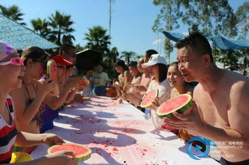 怎么玩吃瓜比赛,轻松上手，一起挑战吃瓜大赛！