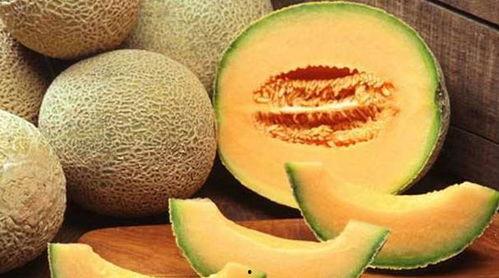 听哈密瓜吃哈密瓜视频,现场品尝，感受瓜果香甜