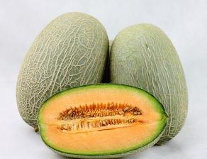 听哈密瓜吃哈密瓜视频,现场品尝，感受瓜果香甜