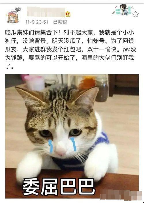 吃恋情被爆瓜,明星恋情曝光，甜蜜瞬间引网友热议