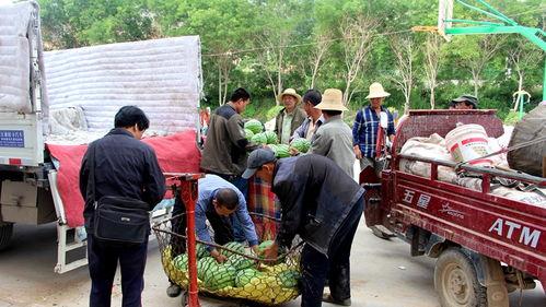 库尔勒楼顶吃瓜群众,见证城市变迁的民间视角
