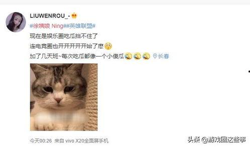 lol吃瓜后续,揭秘电竞圈幕后真相