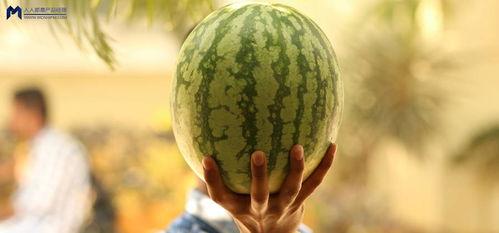 2021吃的瓜,年度热点事件回顾