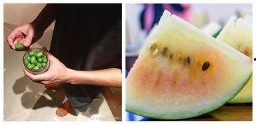 吃瓜群众说瓜不好吃,为何说瓜不好吃？