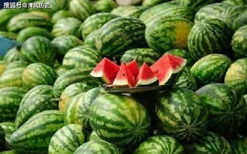 251吃瓜资源,娱乐圈幕后真相大曝光