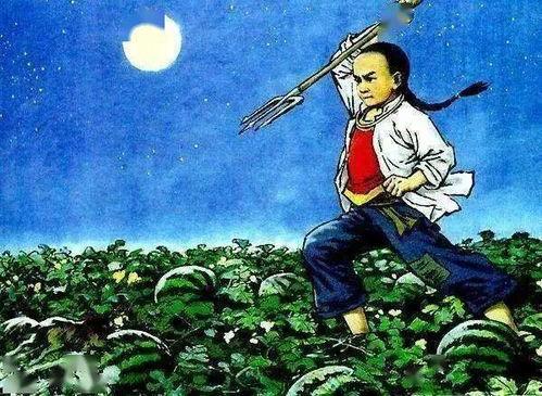 瓜地里的吃瓜猹