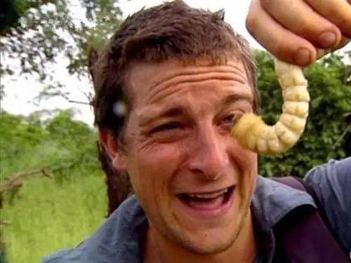 瓜地里的吃瓜猹