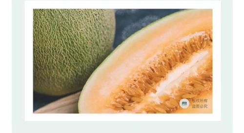 八里香蜜瓜怎么吃,解锁甜蜜味蕾新体验