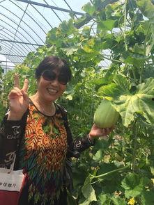 深圳龙岗吃瓜现场,街头热辣瞬间，见证城市活力