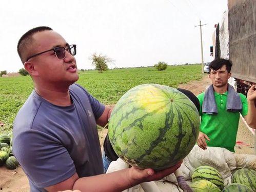 老万吃瓜,揭秘娱乐圈幕后真相