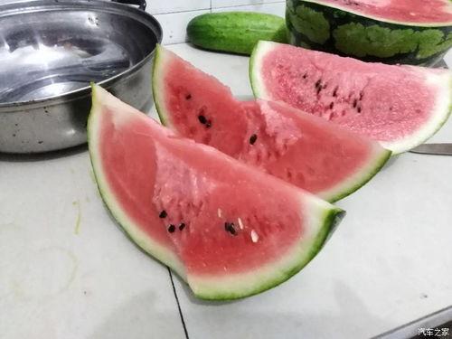 吃瓜轻奢,吃瓜也能品味非凡