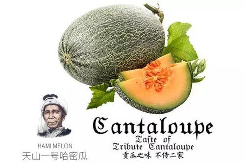 巧克力干杯吃瓜群众,吃瓜群众共享甜蜜时光