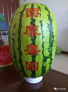 硒砂瓜怎么分开吃,解锁美味新境界