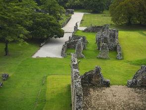 雨林哪里吃瓜,探秘热带雨林的天然美味