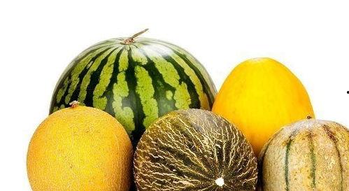 吃小红瓜有啥好处,营养丰富的健康佳品，揭秘其四大益处”