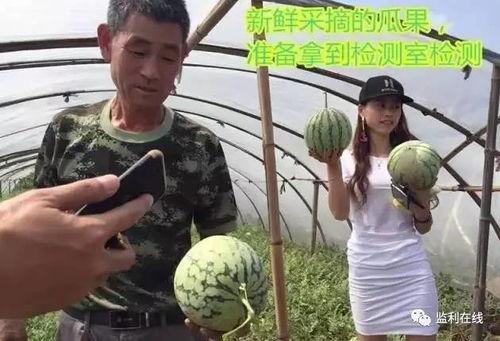 吃瓜群众大多多直播,揭秘“吃瓜群众大多多”的直播魅力