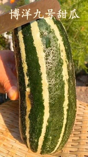 吃熟瓜会怎么样,吃熟瓜的益处与注意事项