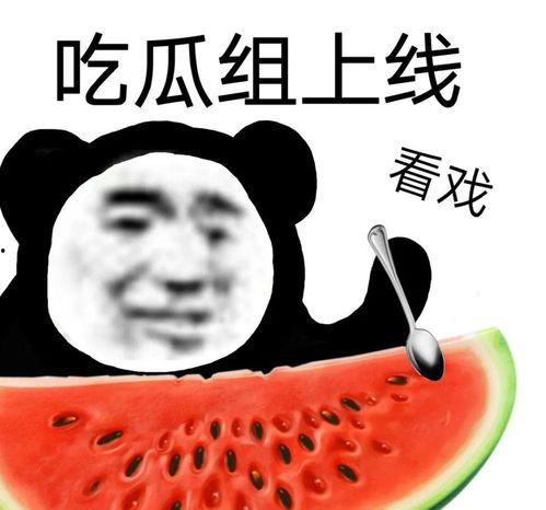 吃瓜奇葩女,揭秘校园里的“瓜田”风云
