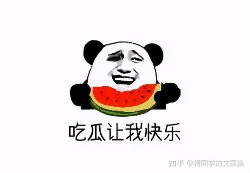 吃瓜群众专属壁纸