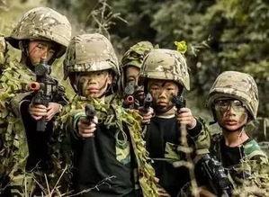 吃瓜碧血营,揭秘神秘组织背后的真相与传奇