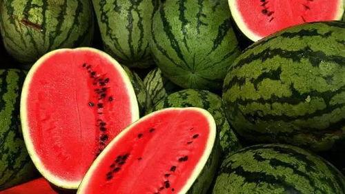 带你吃大瓜公司,美食探索之旅的全新启航