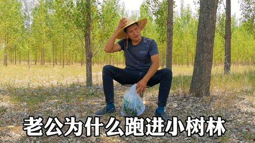 学校小树林吃瓜