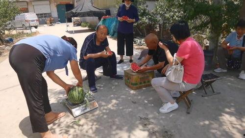 学校小树林吃瓜