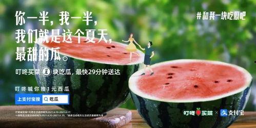 护士吃瓜文案,趣味横生的医疗圈幕后故事