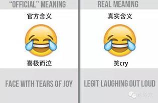 吃瓜表情emo