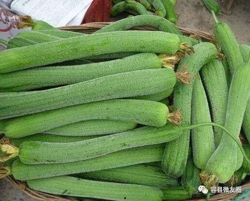 吃瓜就爱吃瓜,揭秘瓜界美食盛宴