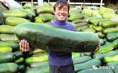 吃瓜就爱吃瓜,揭秘瓜界美食盛宴
