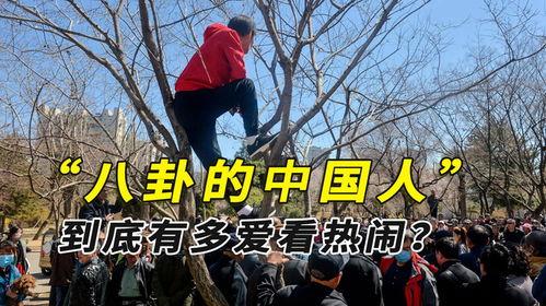 边界打仗大妈吃瓜,大妈街头吃瓜热议时事风云