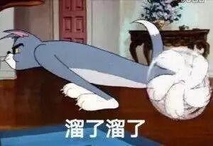 猫和老鼠猫吃瓜,猫吃瓜背后的欢乐与智慧