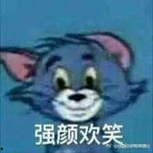 猫和老鼠猫吃瓜,猫吃瓜背后的欢乐与智慧