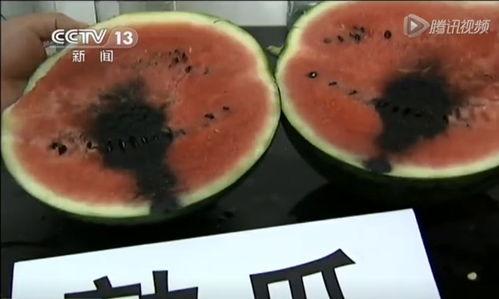 文哥吃瓜视频
