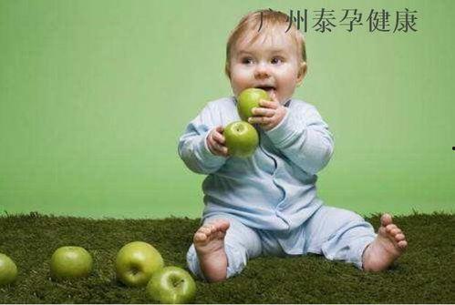 吃瓜的狗蛋儿,吃瓜狗蛋儿的趣味生活点滴