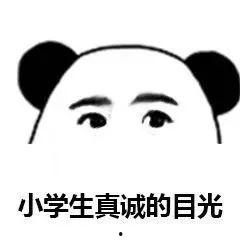 热巴吃瓜表情,萌态十足引网友热议
