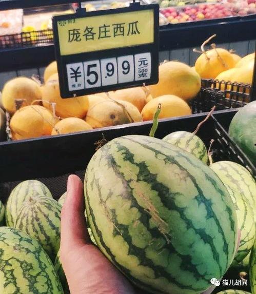 沐欣汤泉吃瓜,揭秘网红温泉的幕后故事