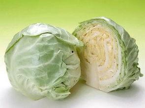 嘉祥县吃瓜,瓜果飘香，品味田园生活